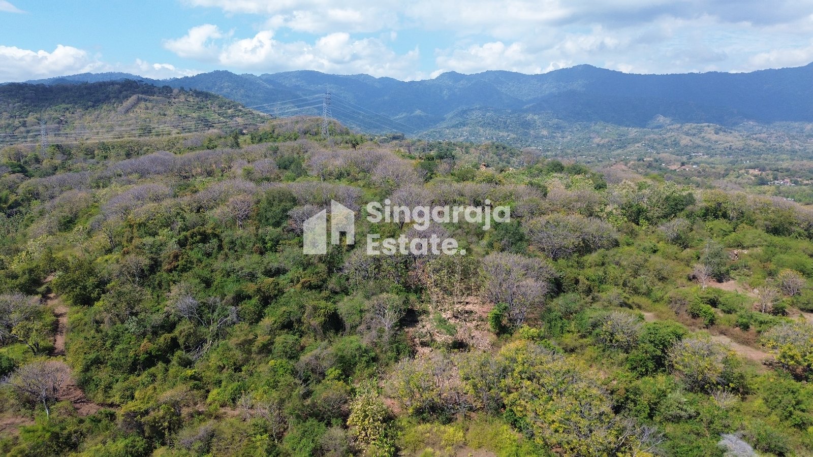 Tanah 10 Hektar Dekat Pantai di Kawasan Seririt - Image 5